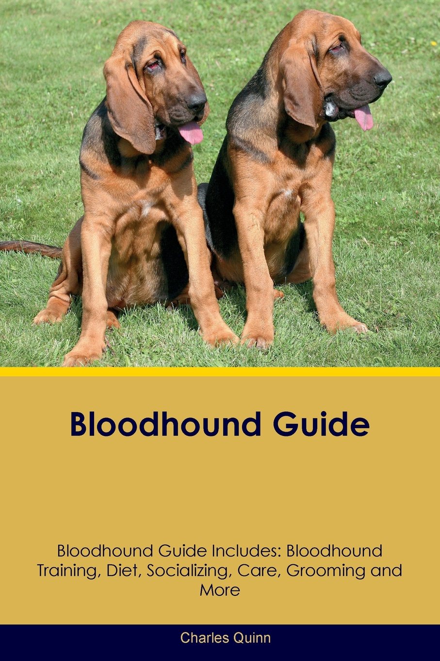 Bloodhound Guide Bloodhound Guide Includes: Bloodhound Training, Diet,  Socializing, Care, Grooming, Breeding and More: Charles Quinn:  9781526905802: ...