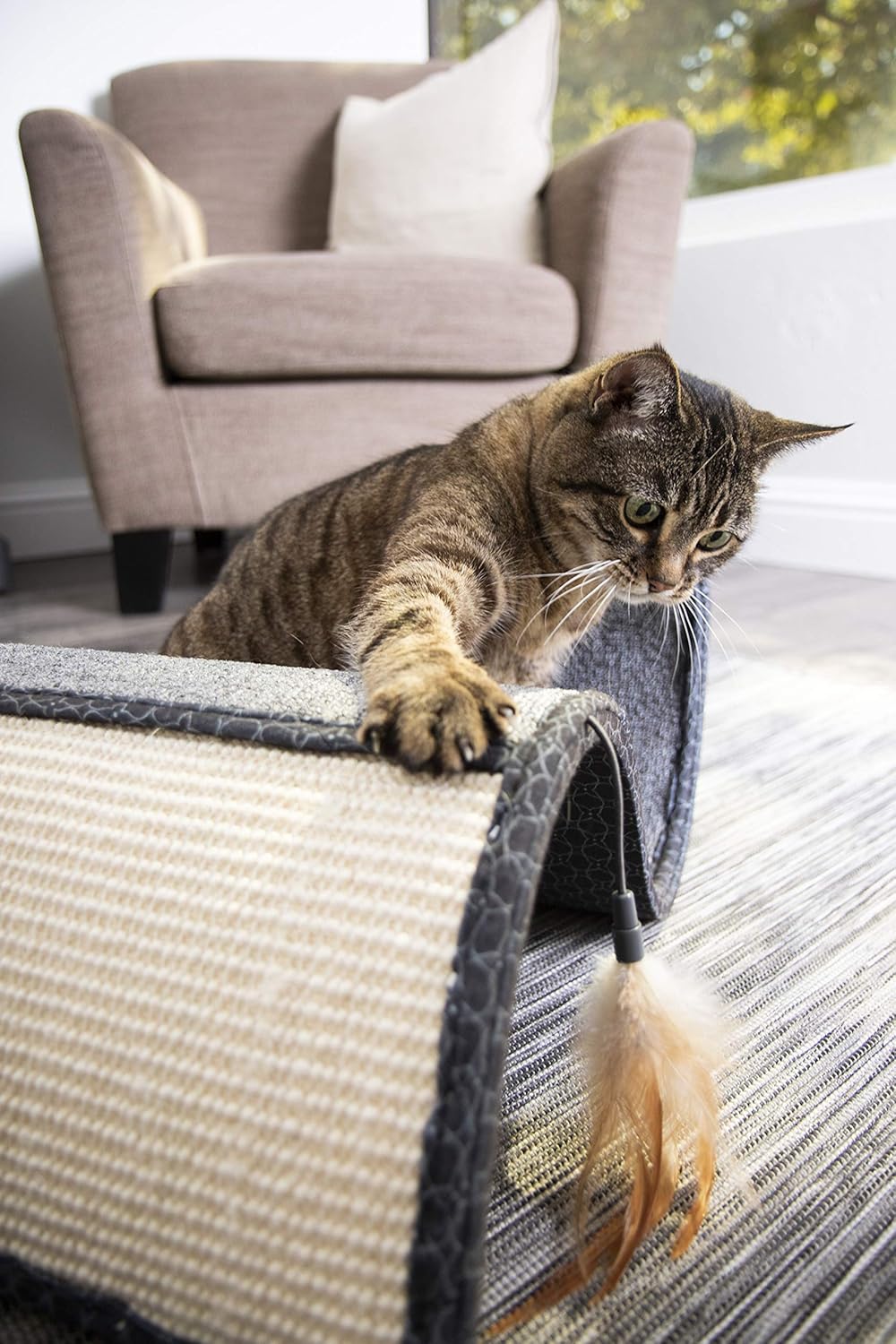 SmartyKat Scratch Scroll Cat Scratcher Carpet and Sisal Cat Furniture - Assorted colors : Scratching Pads : Pet Supplies
