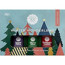 【4袋set】❣️新品未開封❣️炭クレンズ生酵素★スーパークリスマスセール開始！ Amazon.com: Woolzies Autumn Bakery Fall Essential Oil Set of 3