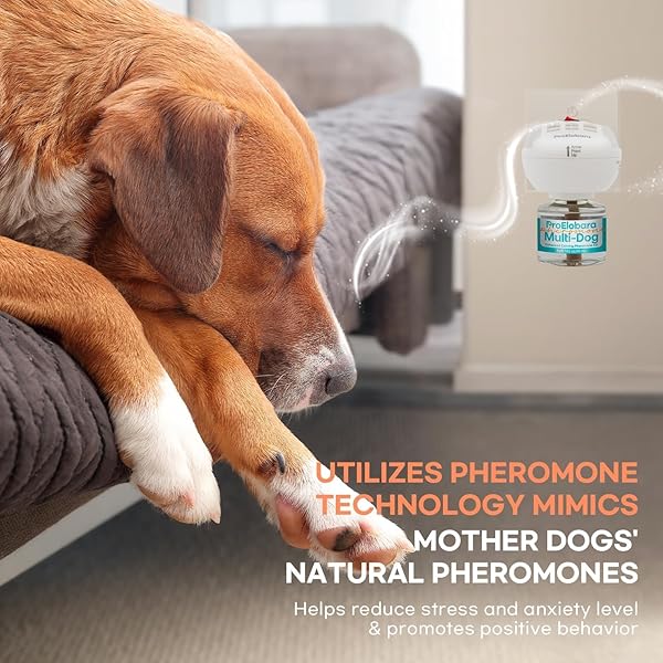 PROELOBARA DOG CALMING PHEROMONE PLUG DIFFUSER: DOG CALMING PHEROMONES DIFFUSER – REDUCES STRESS & ANXIETY CALMING PHEROMONE DIFFUSER FOR DOGS – CALM DOGS 60 SUPPLY