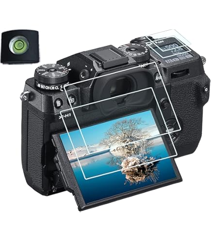 Amazon.com : Fujifilm VPB-XH1 Vertical Power Booster Grip