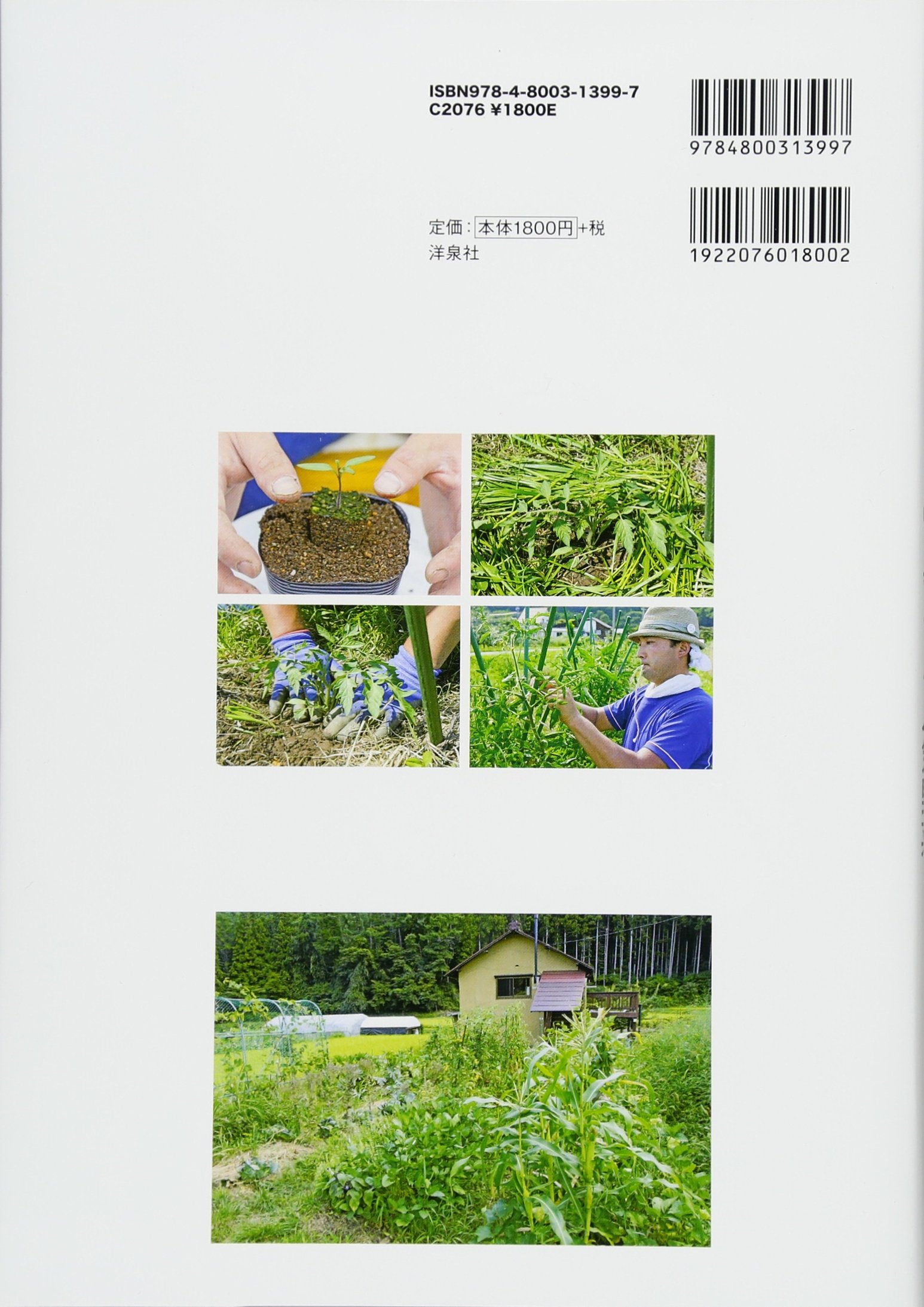 とことん解説 タネから始める 無農薬 自然菜園 で育てる人気野菜 新田 穂高 竹内 孝功 本 通販 Amazon