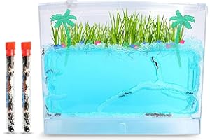 NATURE GIFT STORE Gel Ecosystem Ant Habitat with 50 Live Ants - Educational Eco-Terrarium Kit for Kids - Includes Nutrient Gel, Seeds, Palm Trees, Rocks, and More - Perfect Science Gift