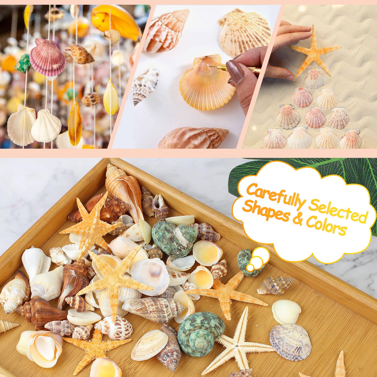 80+ Pcs Natural Seashells, Mixed Starfish Sea Shells for Crafts, Various Sizes Ocean Shells Conch for Decorating, Beach Theme Party, DIY Crafts, Fish Tank Filling, Home Decor, Wedding Decoration