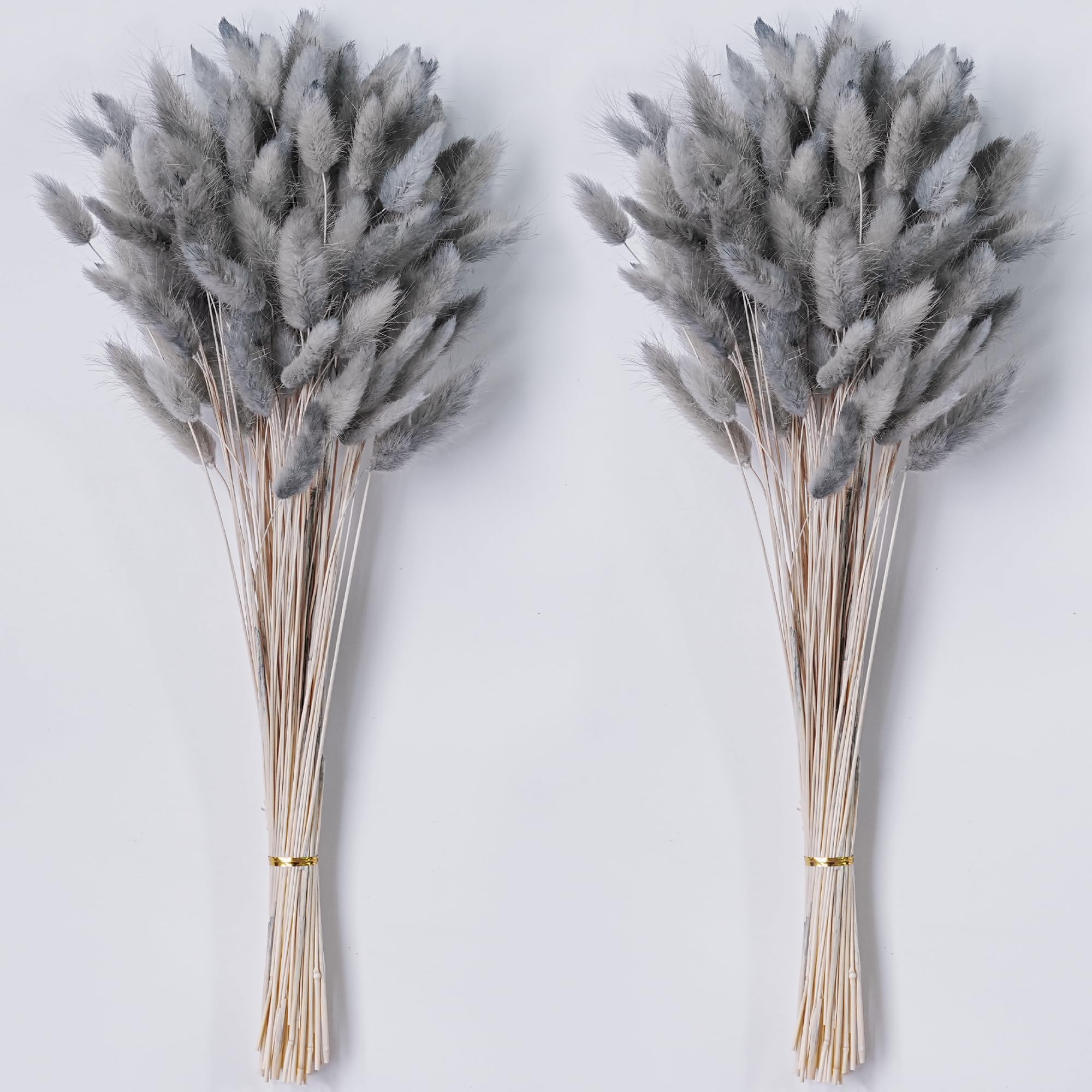 Photo 1 of 120 PCS Dried Pampas Grass Decor, 17-inch Pompas Floral, Dry Flowers for Decoration, Pampas Grass in Bulk Tall, Bunny Tails Dried Flowers for Boho Wedding Decor