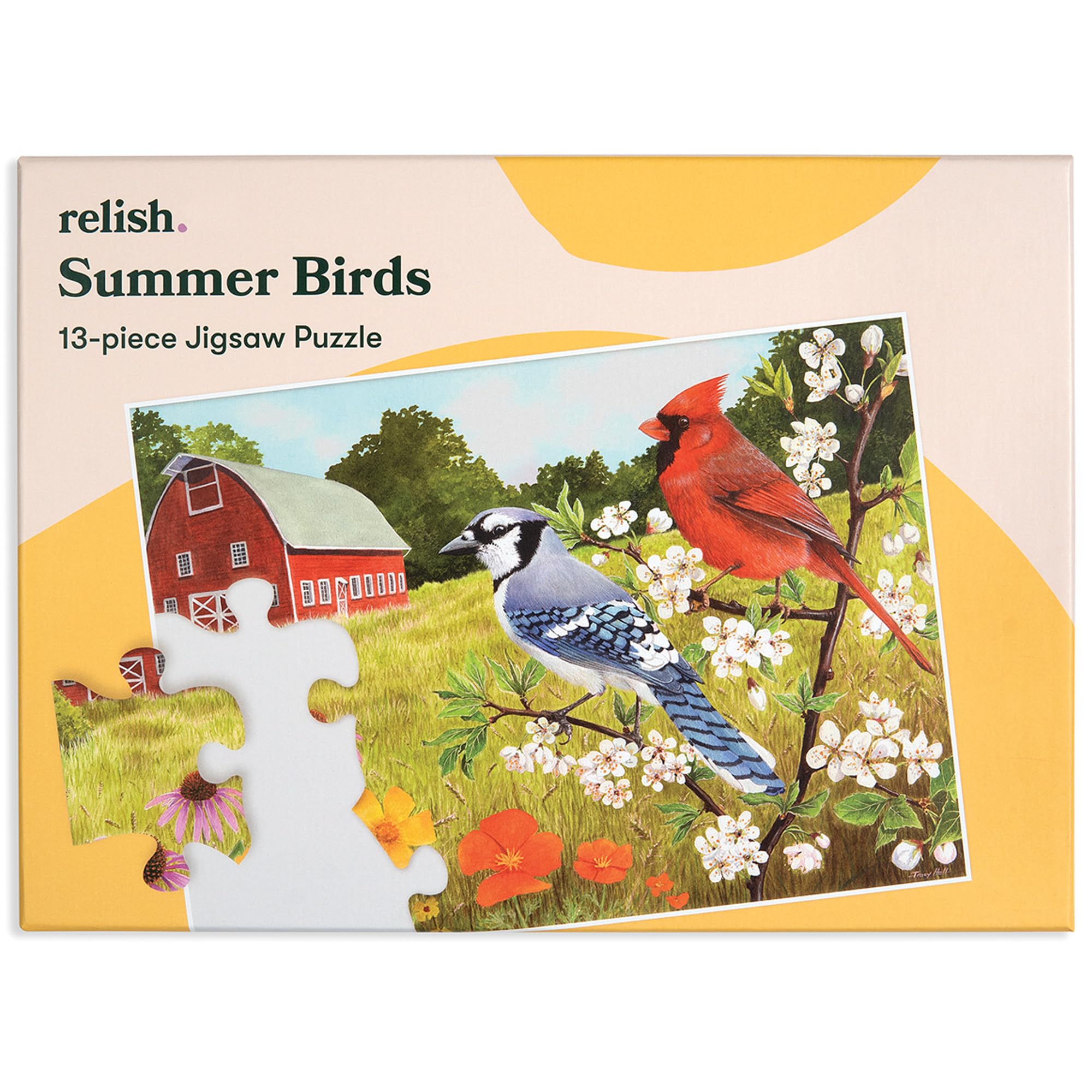 Relish - Dementia Jigsaw Puzzles for Adults - 13 Piece Summer Birds Puzzle - Activities & Gifts for Elderly People with Alzheimer's