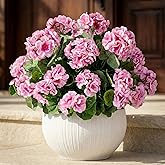 Uqueeten 4PCS Fake Flower Artificial Geranium,Artificial Flowers for Outdoors, Geraniums Artificial Flowers Realistic,Artificial Geraniums for Outdoors Fake Plant Decoration((Pink) 14.4"
