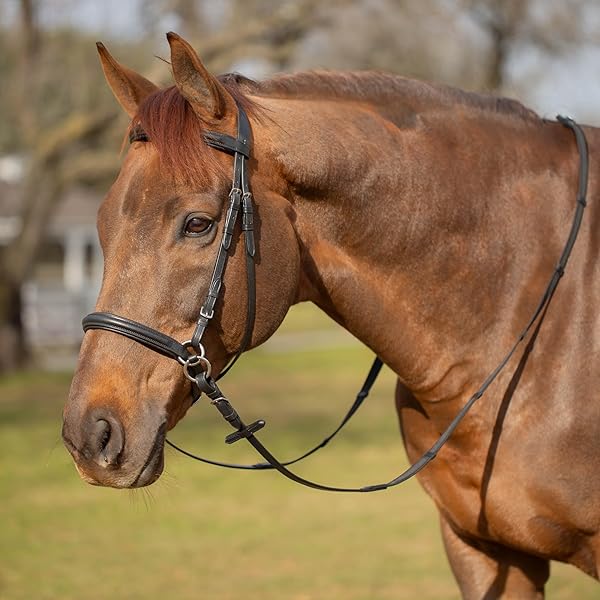 HORSE FEATHERS セットアップ Mサイズ 20-21 HORSE FEATHERS
