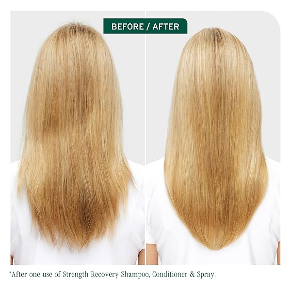 BIOLAGE STRENGTH RECOVERY CONDITIONER – MOISTURIZES & STRENGTHENS DAMAGED HAIR, SOFTNESS & SHINE, OLIVE SQUALANE & VEGAN PROTEINS, PARABEN-FREE, VEGAN, 7.9 FL OZ, PACKAGING MAY VARY