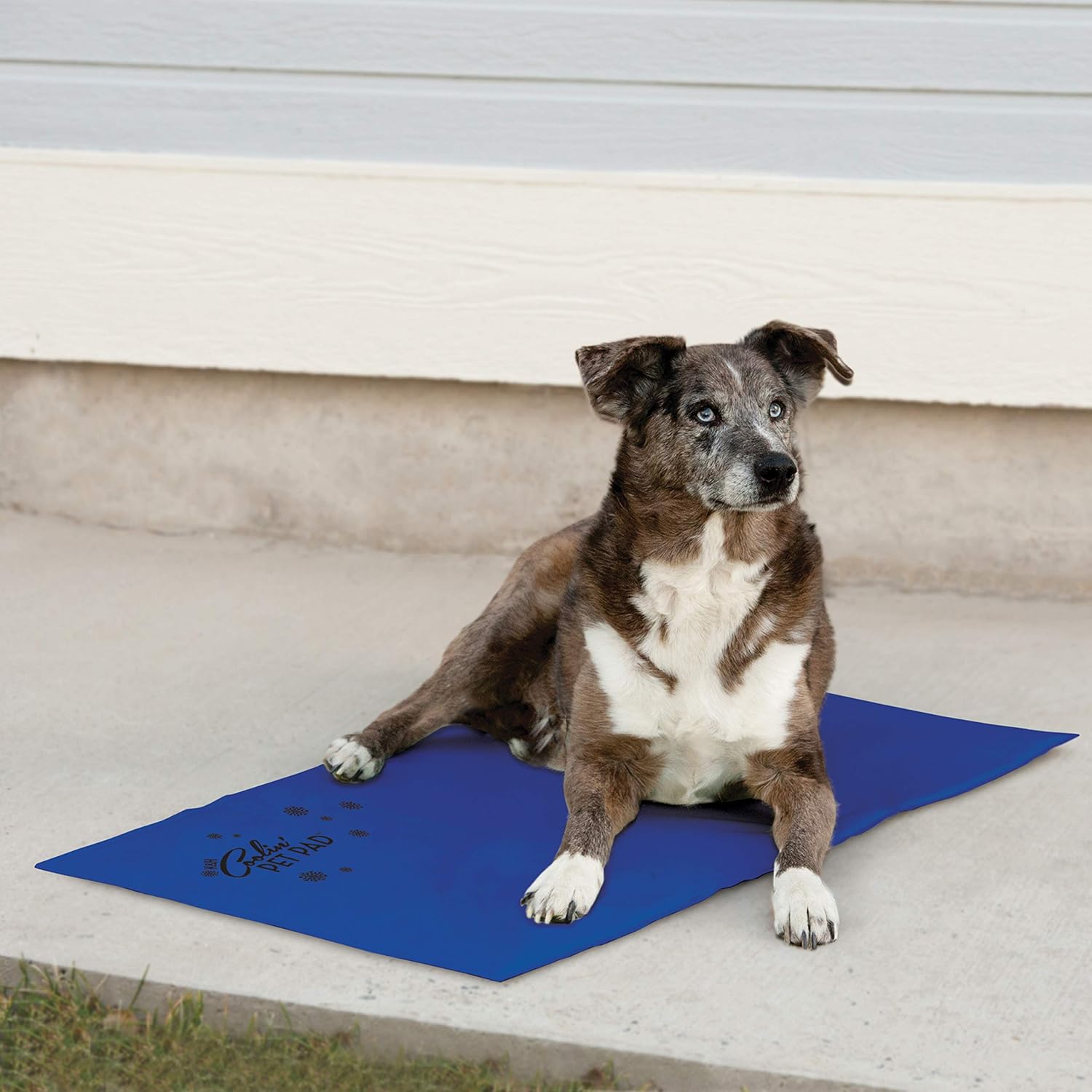 K&H Coolin' Pet Pad for Dog X-Large, Blue, 97 x 69 x 3 cm (L x W x H) - Image 5