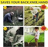 LEJIEYIN Garden Hoe 60in Stirrup Hoe Adjustable Weeding Tool Stainless Steel view 3