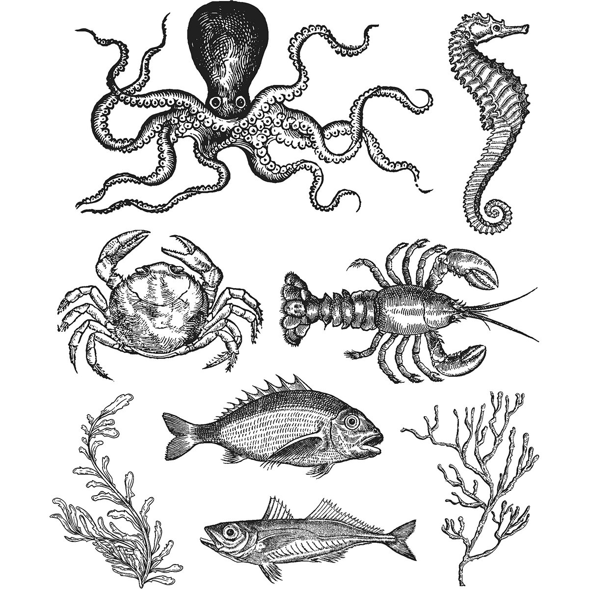 Art Gone Wild AGCMS304 Tim Holtz Sea Life Cling Rubber Stamp Set, Synthetic Material, Multi-Colour, 24.5 x 18 x 0.6 cm