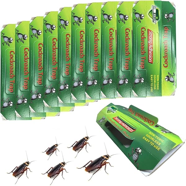 81faEplnyFL._AC_UL600_SR600,