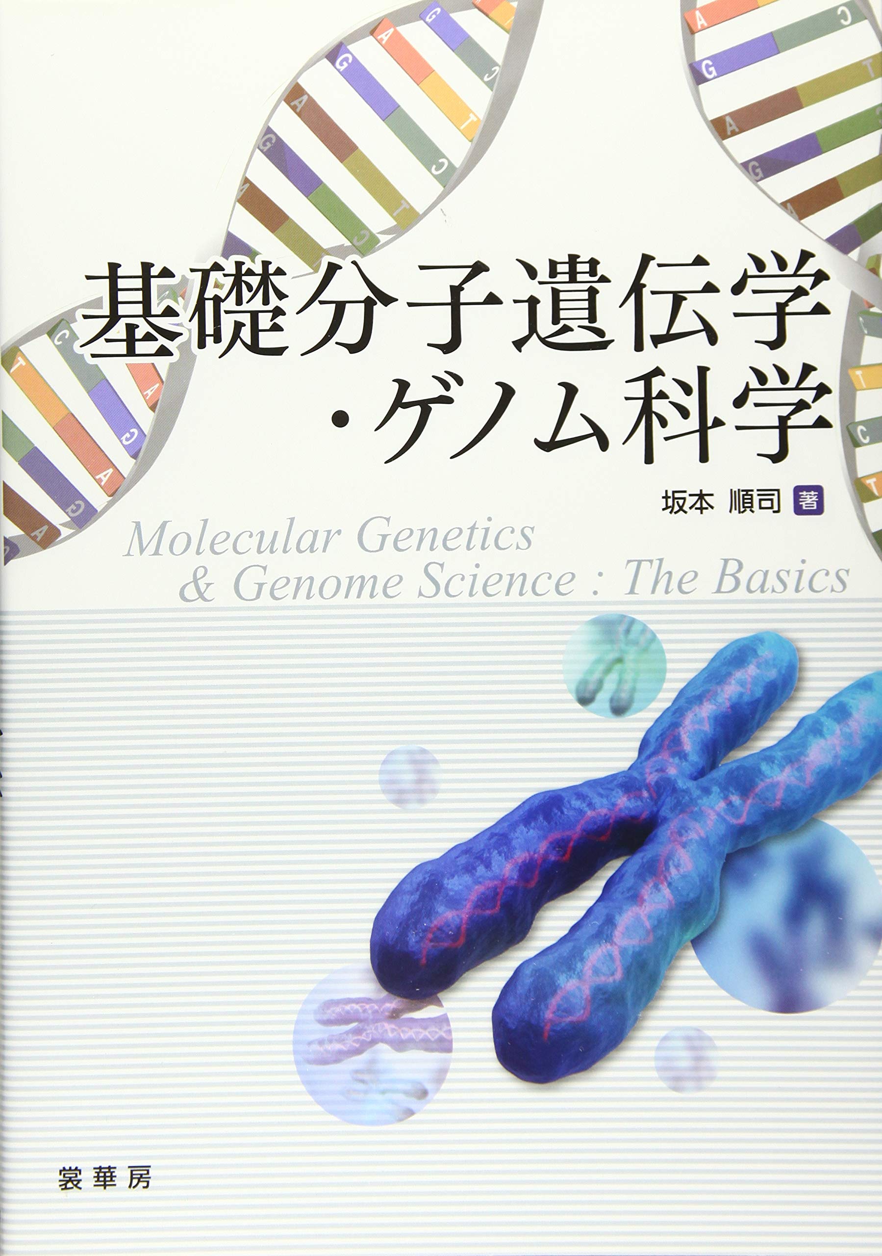 基礎分子遺伝学 ゲノム科学 順司 坂本 本 通販 Amazon