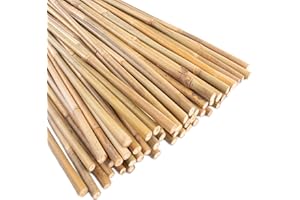 ANOTHERA 0.32”-0.4"/ 4 Feet Garden Stakes, Natural Bamboo Sticks Plant Stakes for Indoor and Outdoor Plants，Poles for Tomatoes, Beans, Potted Plants(50Pcs)