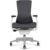 CHAIRORAMA Certified Refurbished Embody Gray Chair, Pixelated Support, Backfit Adjustment, Advanced Ergonomic Office Chair fo