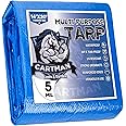 CARTMAN Finished Size 14x20 Feet Blue Poly Tarp 5 Mil Thick, Multipurpose Protective Cover for Camping, Tent, Boat, RV, Car
