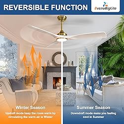 BvenuBigLite Ceiling Fan with Light Modern: 52 Inch