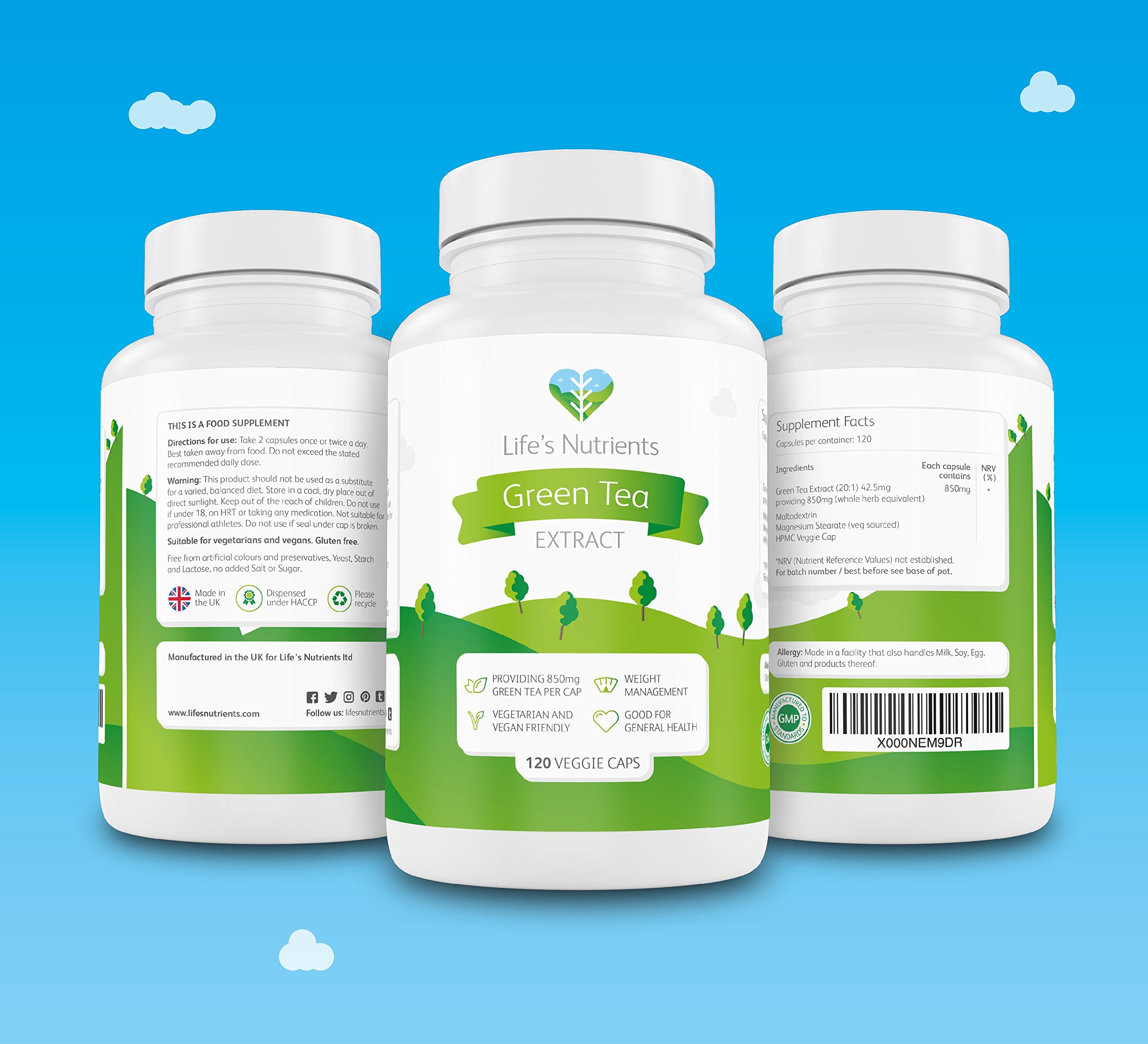 Green Tea Extract Providing 850mg 120 Capsules Natural Appetite