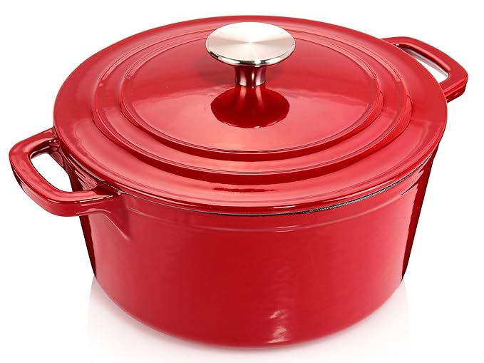 Sänger Gusseisen Topf mit Deckel Emailliert | Durchmesser 20 cm | Füllmenge 2,5 Liter | Schmortopf für alle Herdarten, auch I