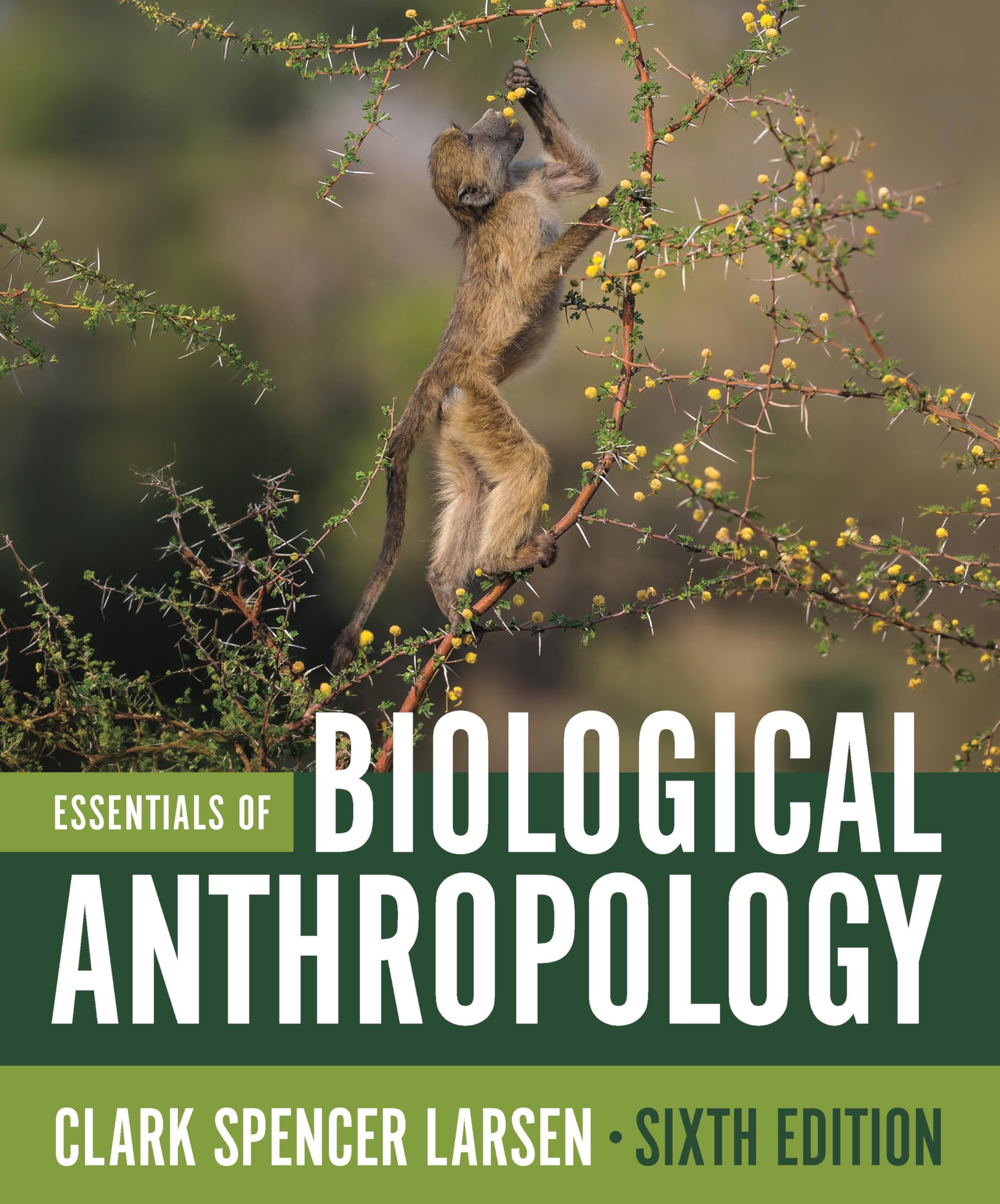 Essentials Of Biological Anthropology