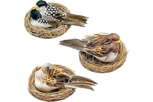 FBIRDY 3 pack Artificial Birds Nest Decorative Cute Bird Nest with Bird Eggs Tabletop Decoration for Spring, Summer, Home Decor Christmas Decorations