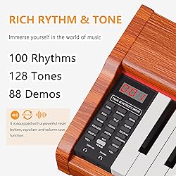 WENCAI 88 Key Fully Weighted Electric Piano