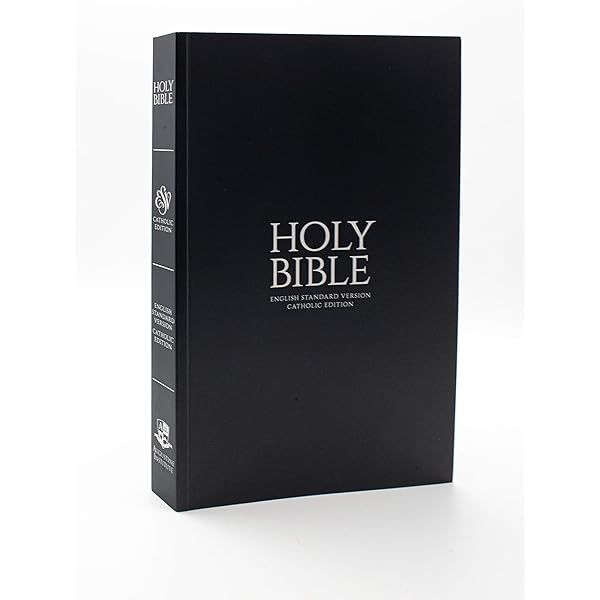 洋書 The HOLY BIBLE English standard version The Holy Bible: English Standard Version: Bible English