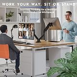 BONTEC Dual Monitor Stand with Gas Spring 13-32 inch 9kg VESA 75/100 view 6