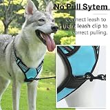 Belababy Dog Harness Adjustable No Pull Front Back Clip Reflective Blue XL view 4