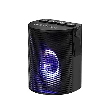 zebronics fm radio with usb