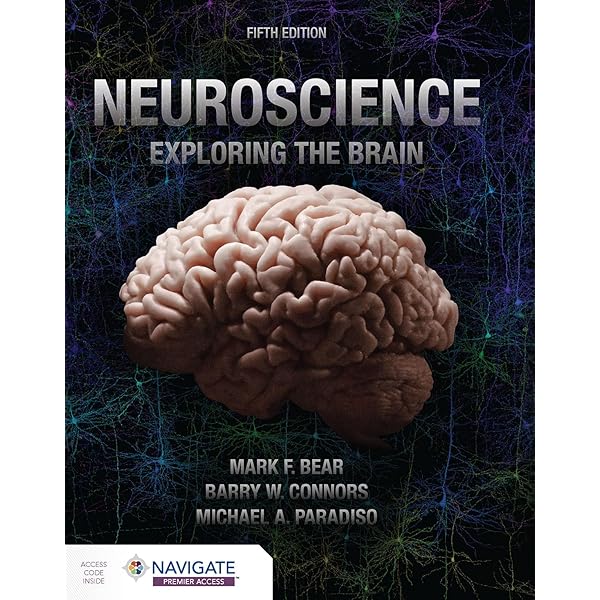 新品　NEUROSCIENCE Exploring the Brain 4th 51hhQQmYsBL.jpg_BO30,255,255,