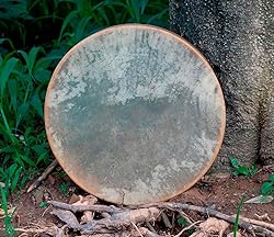 ARAW American Shamanic Native Drum Bison Natural