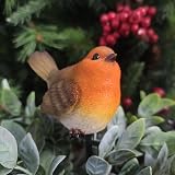 Vivid Arts Plant Pals Robin Plant Pal Garden Ornament PLP-102 view 4
