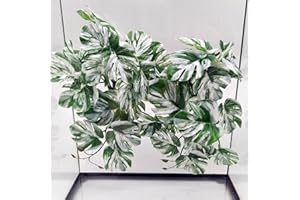 FLmoving Reptile Plants for Terrarium, Amphibian Habitat Decor Artificial Hanging Plants with Suction Cup, Artificial Plants for Gecko Chameleon Snake Tortoise Tank Accessories. 2-Pack (Monstera)