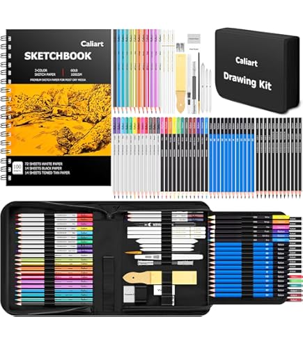 Amazon.com: Nicole 79 Piece Studio Art & Craft Supplies Drawing