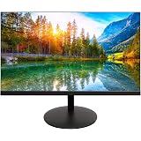 Widescreen LED LCD Monitor 