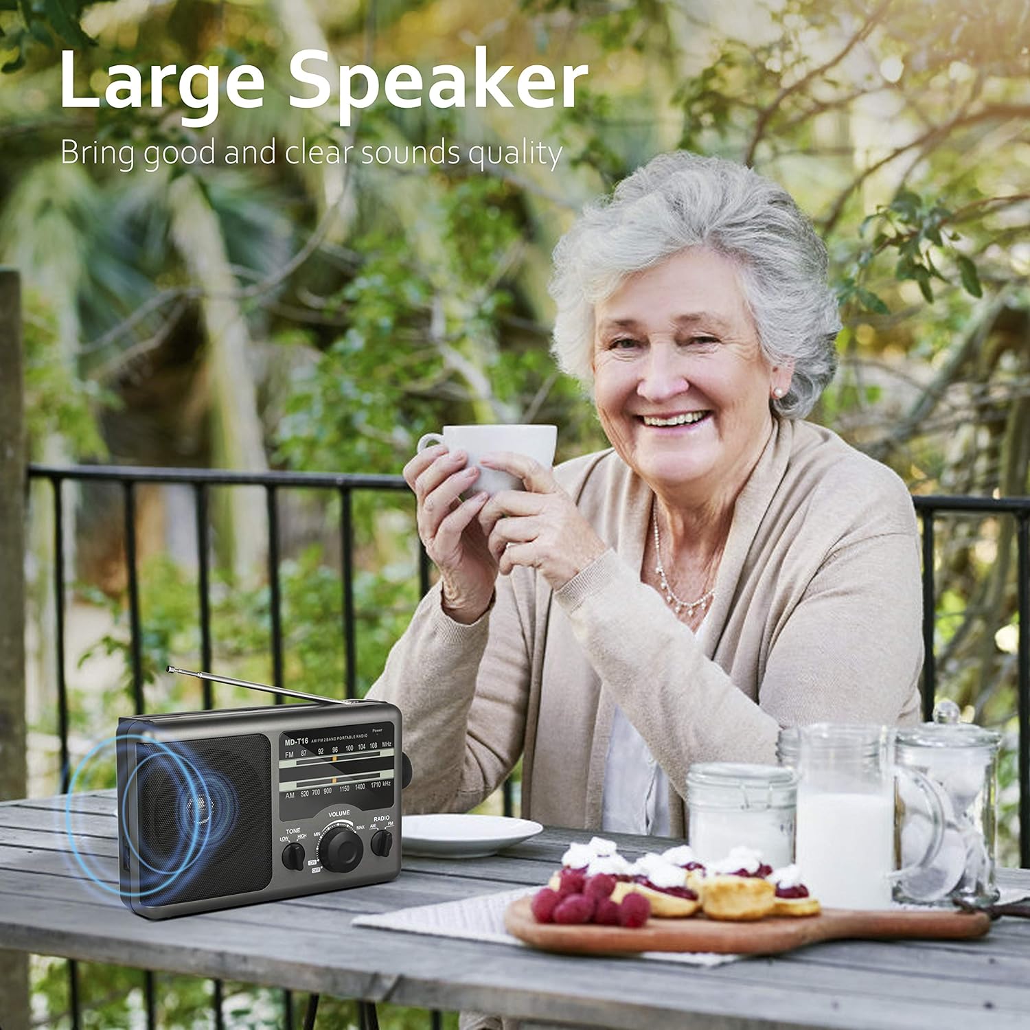 AM FM Portable Radio Battery Operated Radio by 4X D Cell Batteries Or AC Power Transistor Radio with and Big Speaker, Standard Earphone Jack, High/Low Tone Mode, Large Knob: Electronics