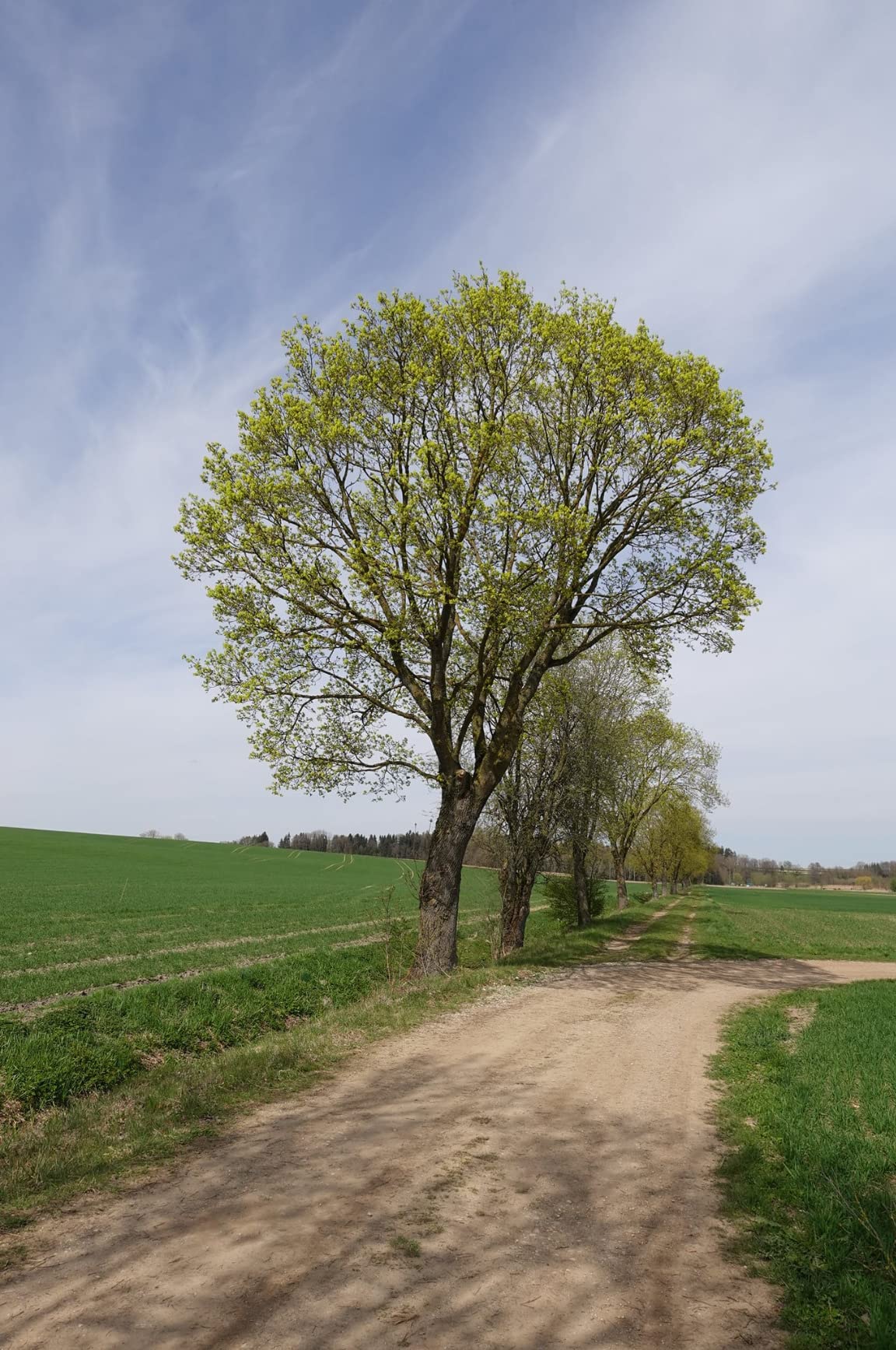 Oändligt justerbar och perfekt för fantastiska foton och videor