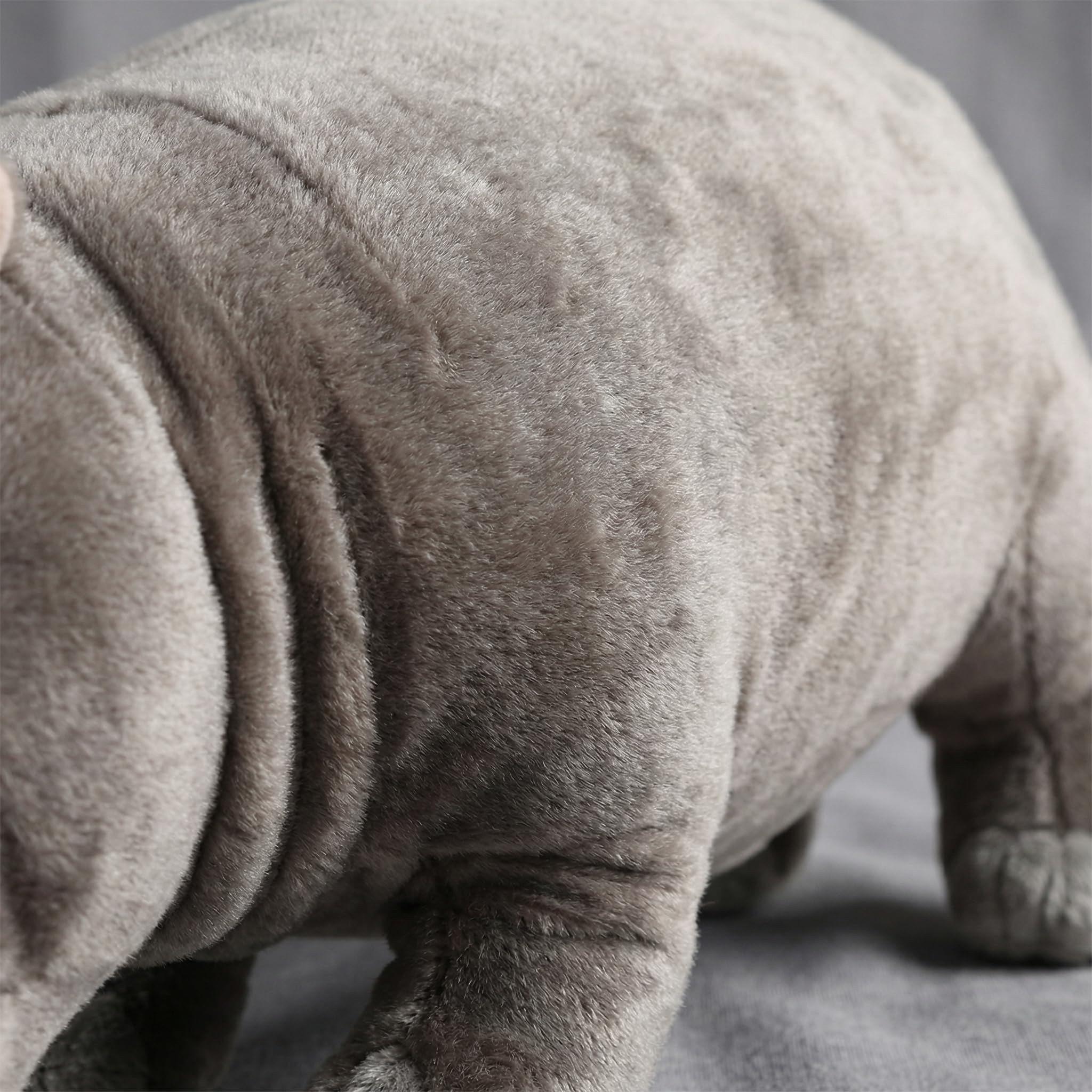 View 8