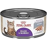 appetite control cat food