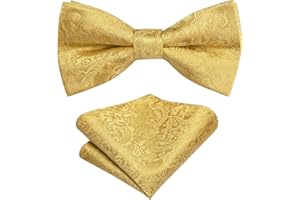 Hi-Tie Bow Ties for Boys Pre-Tied Silk Kids Bow Tie Adjustable Boys Bowties with Pocket Square Set for Wedding Party