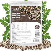 2 OZ Moringa Seeds for Planting, 100% Natural Semillas de Moringa | Non- GMO | Premium PKM1 Quality | High Germination | USDA Zone 9-11