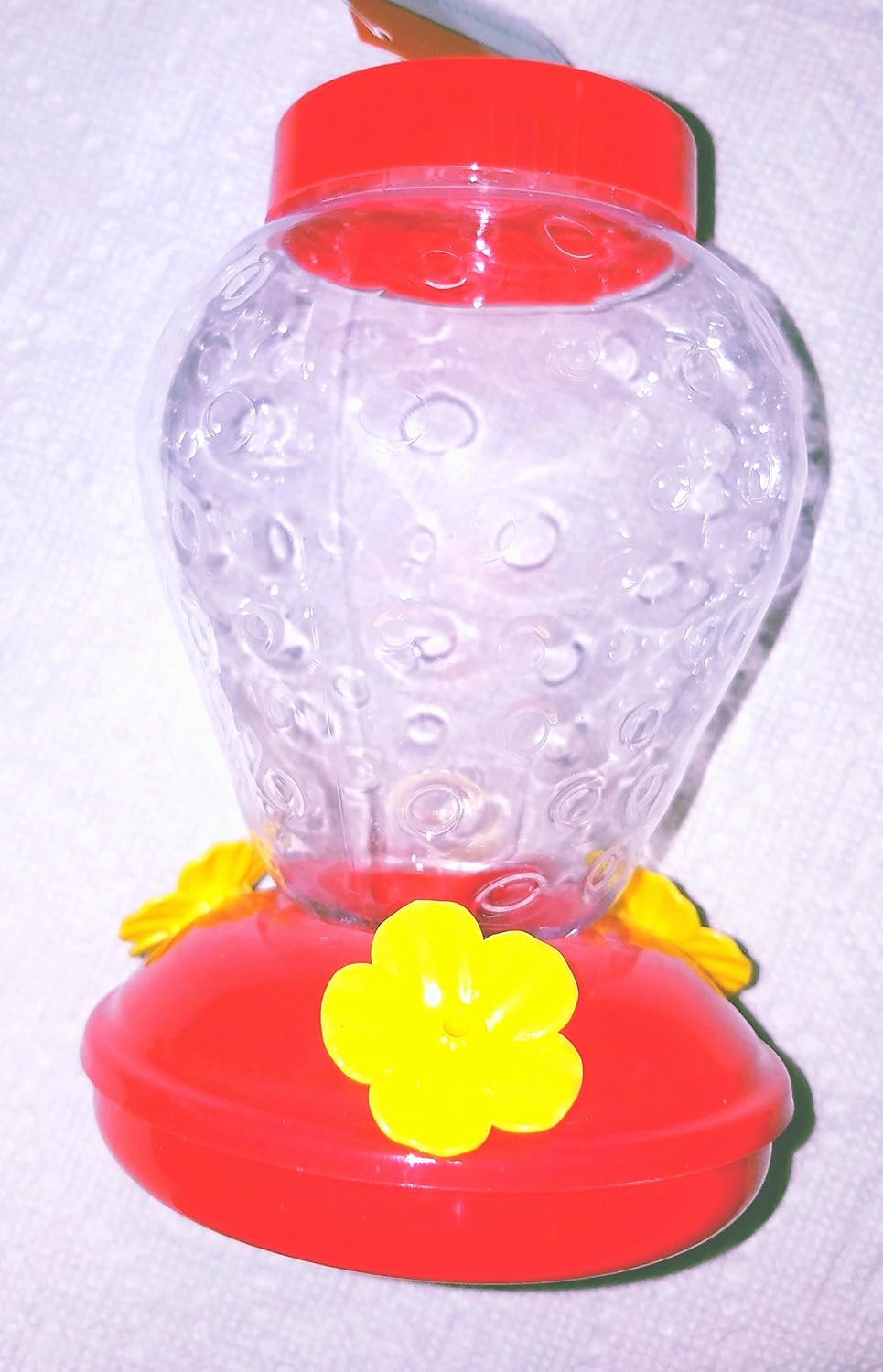Amazon Com Strawberry Hummingbird Feeder By Garden Collection