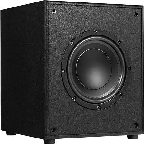 Amazon Com Kanizz Sound Karaoke Subwoofer Super Bass 10 300w