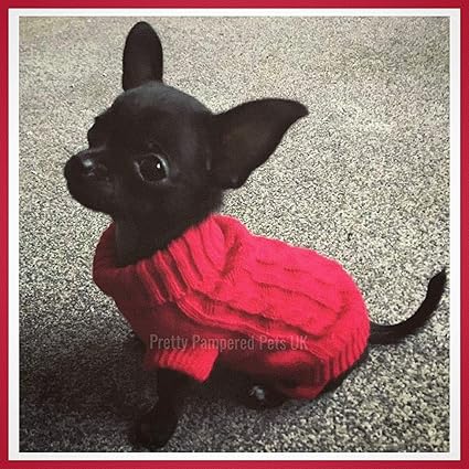 Xxxs dog clothes Clearance