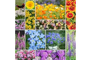 Eden Brothers Deer Resistant Wildflower Mixed Seeds for Planting, 1/4 lb, 120,000+ Seeds with Foxglove, Forget Me Not | Attracts Pollinators, Plant in Spring or Fall, Zones 3, 4, 5, 6, 7, 8, 9, 10