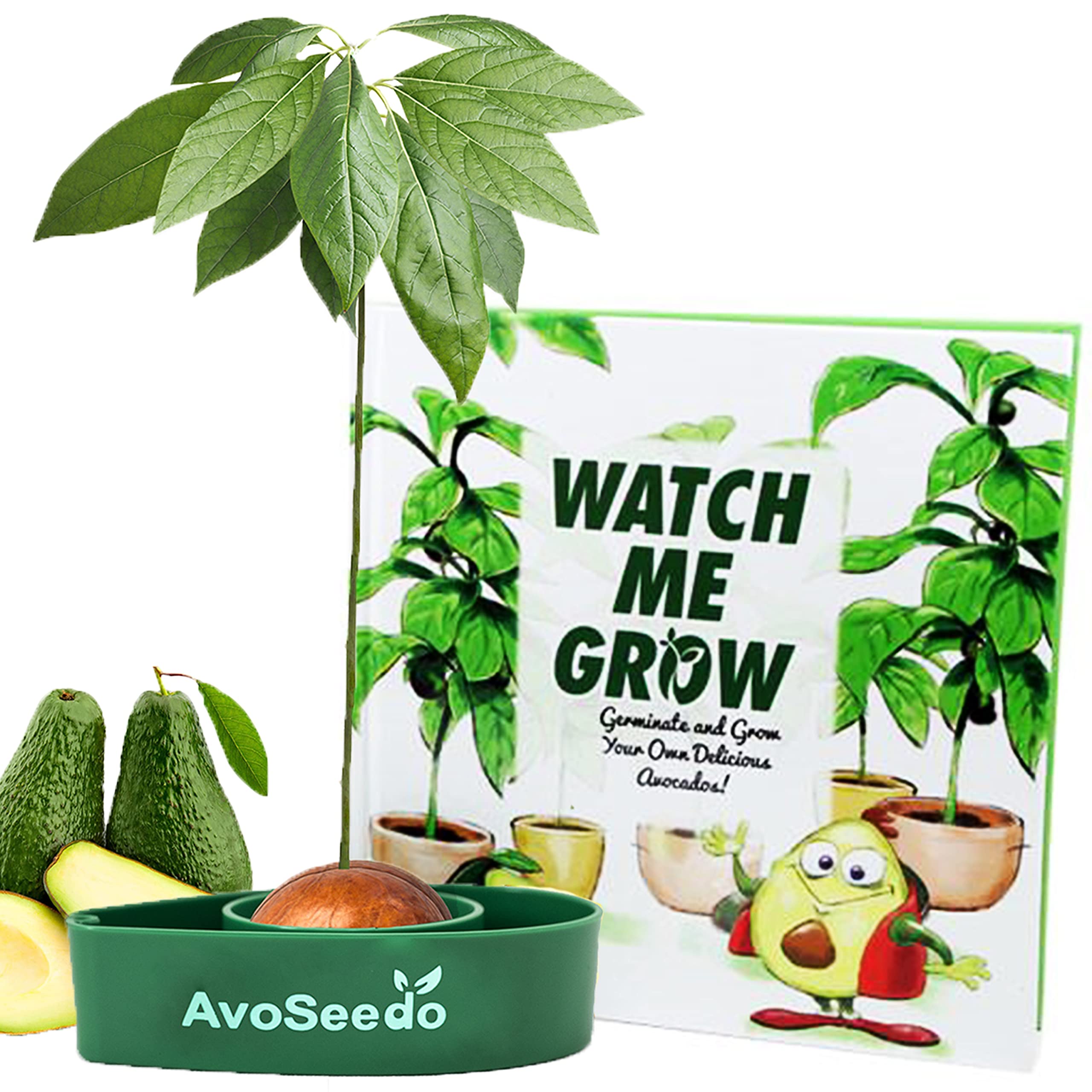 AvoSeedo Bowl Grow Your Own Avocado Tree,Evergreen,Perfect Avocado Tree Growing Kit for Every Avocado Lover (1, Multi-Color)