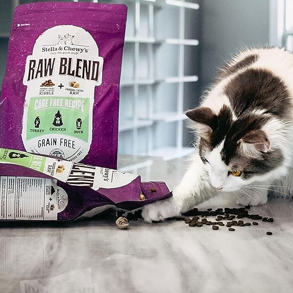 STELLA & CHEWY’S RAW BLEND PREMIUM KIBBLE CAT FOOD – GRAIN FREE, PROTEIN RICH MEALS – CAGE-FREE POULTRY RECIPE – 2.5 LB. BAG