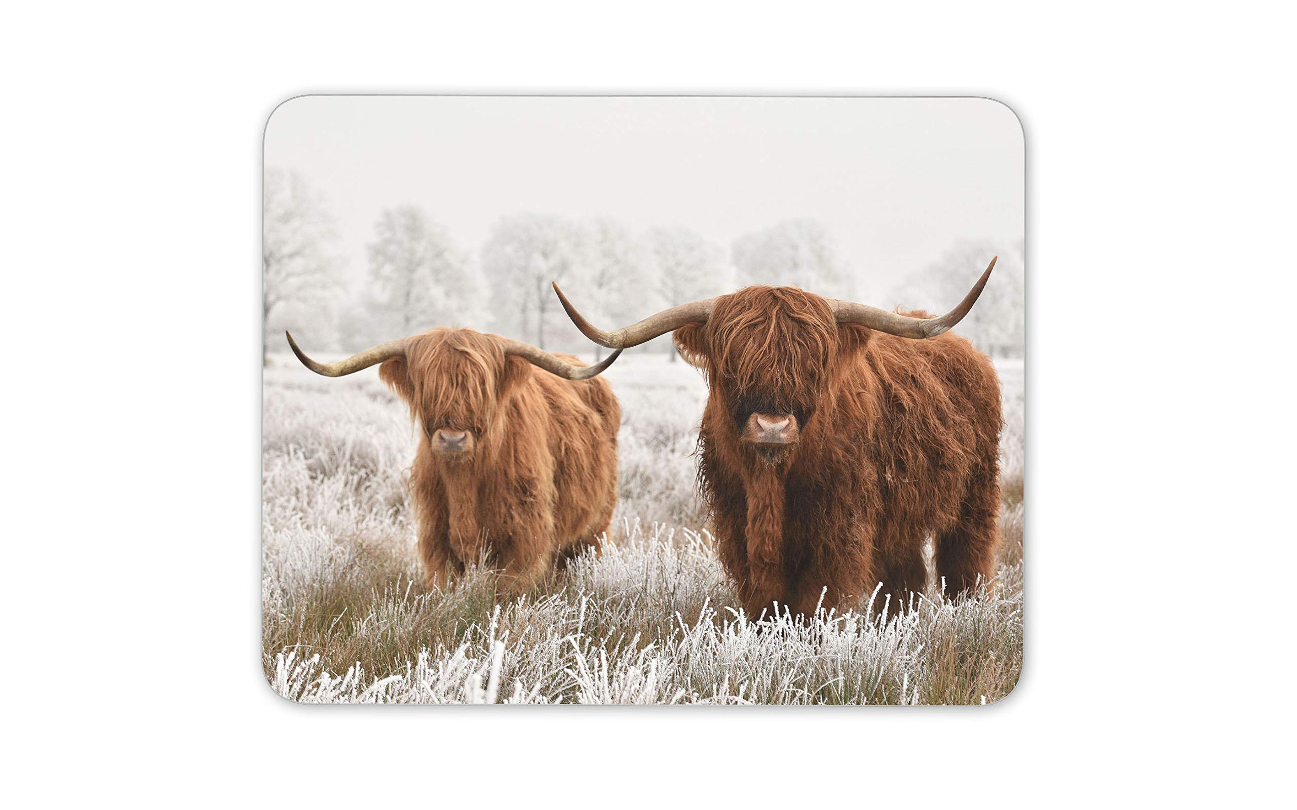 Destination Vinyl Ltd Angus Wild Cows Herd Mouse Mat Pad - Winter Highlands Computer #14591